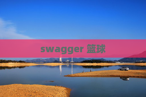 swagger 篮球 swagger 篮球
